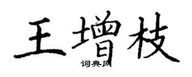丁谦王增枝楷书个性签名怎么写