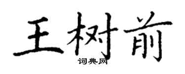 丁谦王树前楷书个性签名怎么写