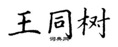 丁谦王同树楷书个性签名怎么写