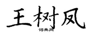 丁谦王树凤楷书个性签名怎么写