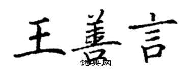 丁谦王善言楷书个性签名怎么写