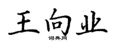 丁谦王向业楷书个性签名怎么写