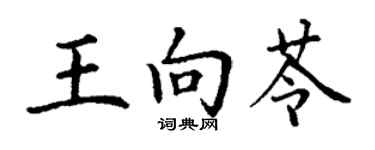 丁谦王向苓楷书个性签名怎么写