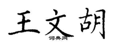 丁谦王文胡楷书个性签名怎么写