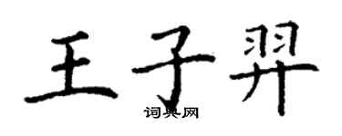 丁谦王子羿楷书个性签名怎么写