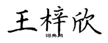 丁谦王梓欣楷书个性签名怎么写