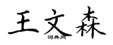 丁谦王文森楷书个性签名怎么写