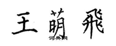 何伯昌王萌飞楷书个性签名怎么写