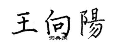 何伯昌王向阳楷书个性签名怎么写