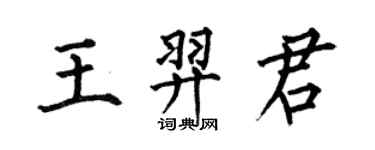 何伯昌王羿君楷书个性签名怎么写