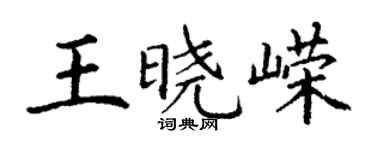 丁谦王晓嵘楷书个性签名怎么写