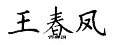 丁谦王春凤楷书个性签名怎么写