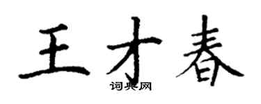 丁谦王才春楷书个性签名怎么写