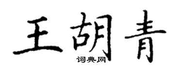 丁谦王胡青楷书个性签名怎么写