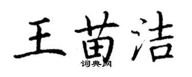 丁谦王苗洁楷书个性签名怎么写