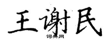 丁谦王谢民楷书个性签名怎么写