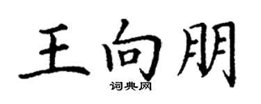 丁谦王向朋楷书个性签名怎么写