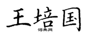 丁谦王培国楷书个性签名怎么写