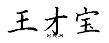 丁谦王才宝楷书个性签名怎么写