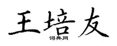 丁谦王培友楷书个性签名怎么写