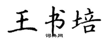丁谦王书培楷书个性签名怎么写