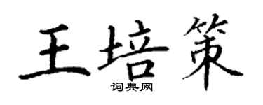丁谦王培策楷书个性签名怎么写