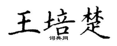 丁谦王培楚楷书个性签名怎么写