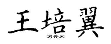 丁谦王培翼楷书个性签名怎么写