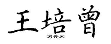 丁谦王培曾楷书个性签名怎么写