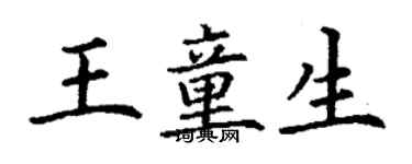 丁谦王童生楷书个性签名怎么写
