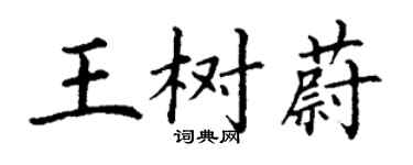 丁谦王树蔚楷书个性签名怎么写