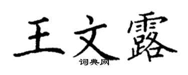 丁谦王文露楷书个性签名怎么写