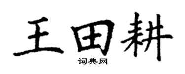 丁谦王田耕楷书个性签名怎么写