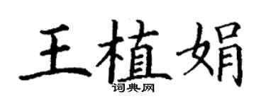 丁谦王植娟楷书个性签名怎么写