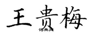 丁谦王贵梅楷书个性签名怎么写