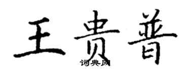 丁谦王贵普楷书个性签名怎么写