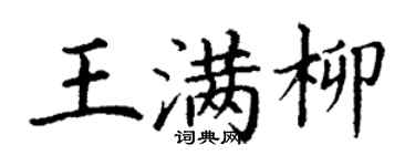 丁谦王满柳楷书个性签名怎么写