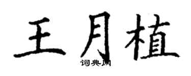 丁谦王月植楷书个性签名怎么写
