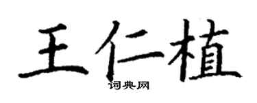 丁谦王仁植楷书个性签名怎么写