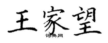 丁谦王家望楷书个性签名怎么写