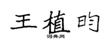 袁强王植昀楷书个性签名怎么写
