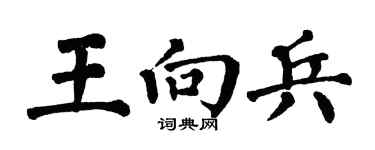 翁闿运王向兵楷书个性签名怎么写