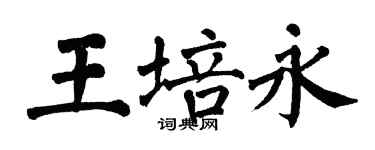 翁闿运王培永楷书个性签名怎么写