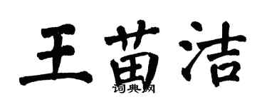 翁闿运王苗洁楷书个性签名怎么写