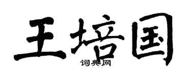 翁闿运王培国楷书个性签名怎么写