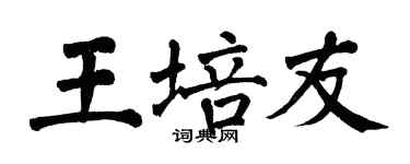 翁闿运王培友楷书个性签名怎么写