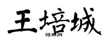 翁闿运王培城楷书个性签名怎么写