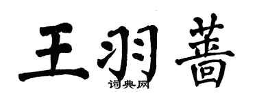 翁闿运王羽蔷楷书个性签名怎么写
