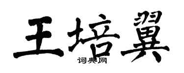 翁闿运王培翼楷书个性签名怎么写
