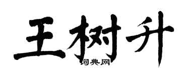 翁闿运王树升楷书个性签名怎么写